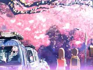 温馨浪漫的樱花树下的动漫场景