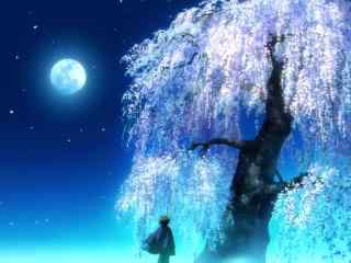 动漫图片-唯美夜空下的樱花树