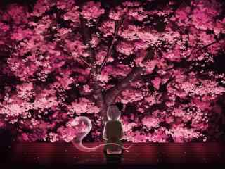动漫图片-神秘樱花树下的少女