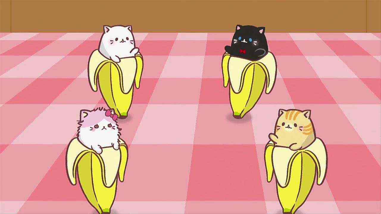 可爱的香蕉猫咪图片桌面壁纸