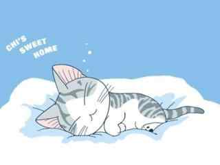 甜甜私房猫可爱睡炎小起桌面壁纸