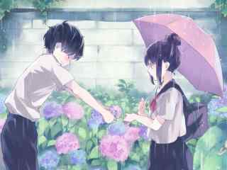 女生,男生,雨伞,鲜花,初恋动漫壁纸