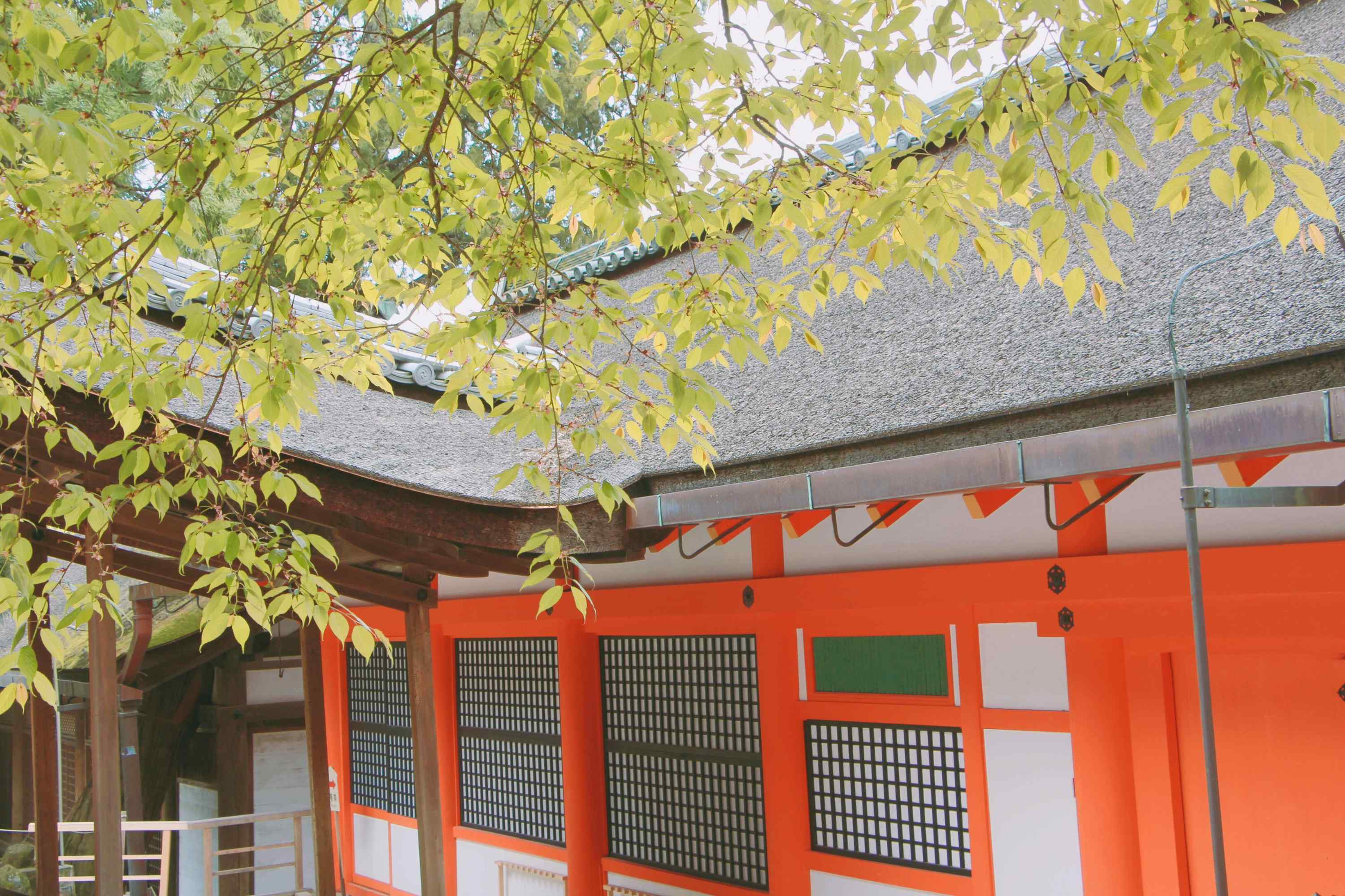 奈良传统寺庙春日大社高清壁纸