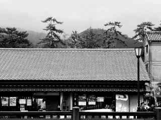 古都奈良寺庙超美黑白照