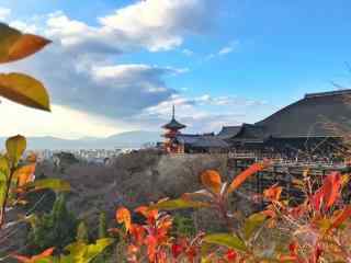 超清奈良古寺唯美风景护眼桌面壁纸