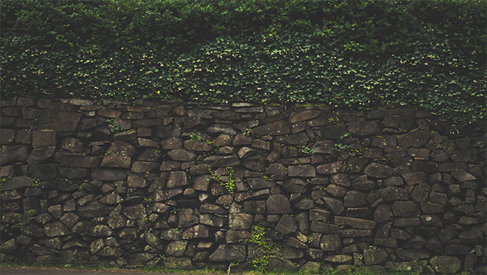 石块与绿色植物组合墙超清唯美壁纸图片