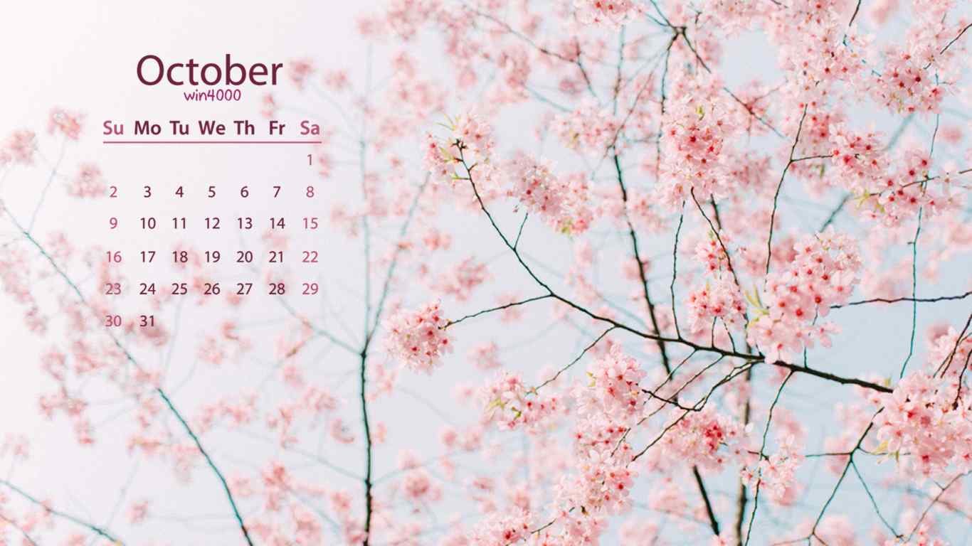2016年10月日历好看的樱花电脑桌面壁纸