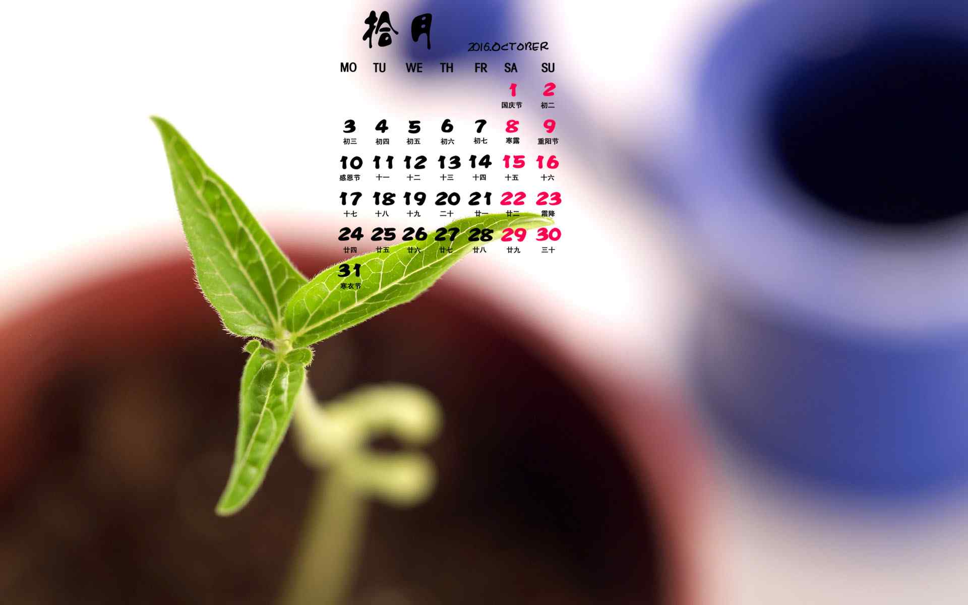 2016年10月日历小清新嫩豆芽护眼壁纸图片