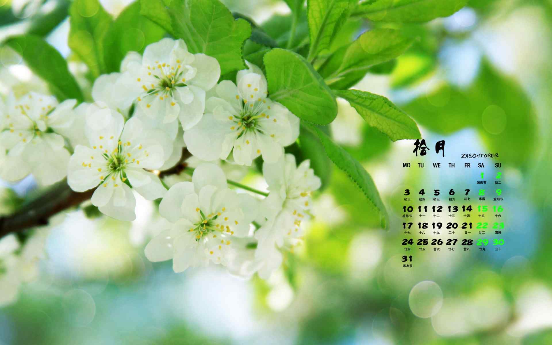 2016年10月日历绿色护眼花卉桌面壁纸