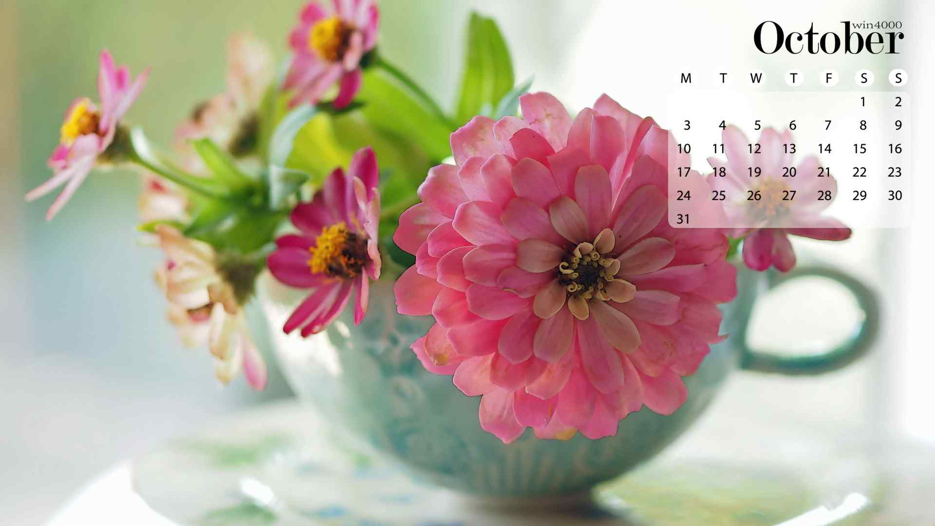 2016年10月日历小清新植物花卉电脑桌面壁纸