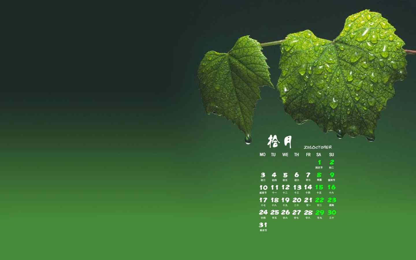 2016年10月日历绿叶上的水滴护眼电脑桌面壁纸