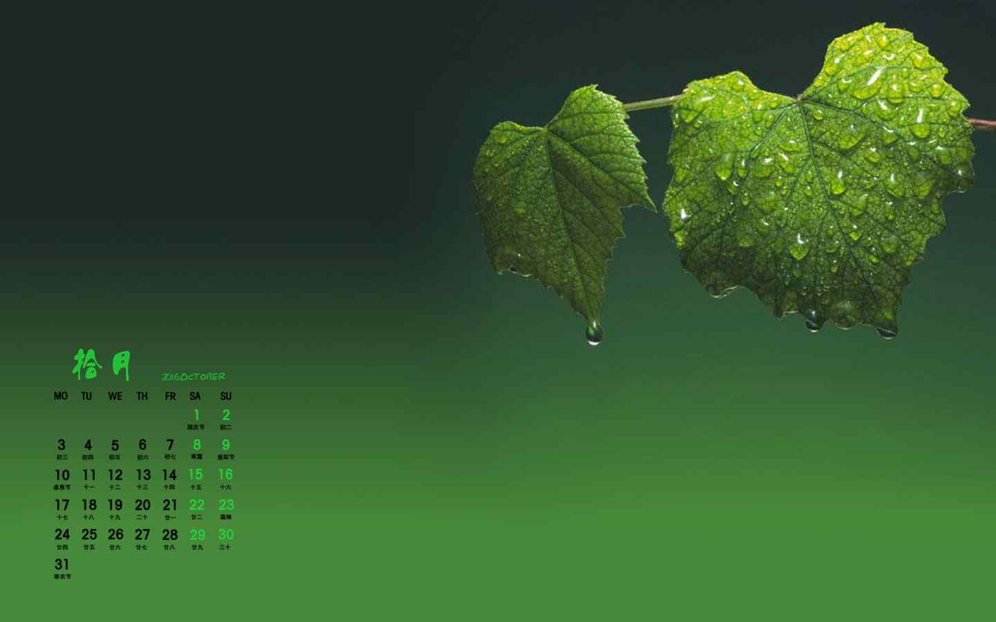 2016年10月日历绿叶上的水滴护眼电脑桌面壁纸
