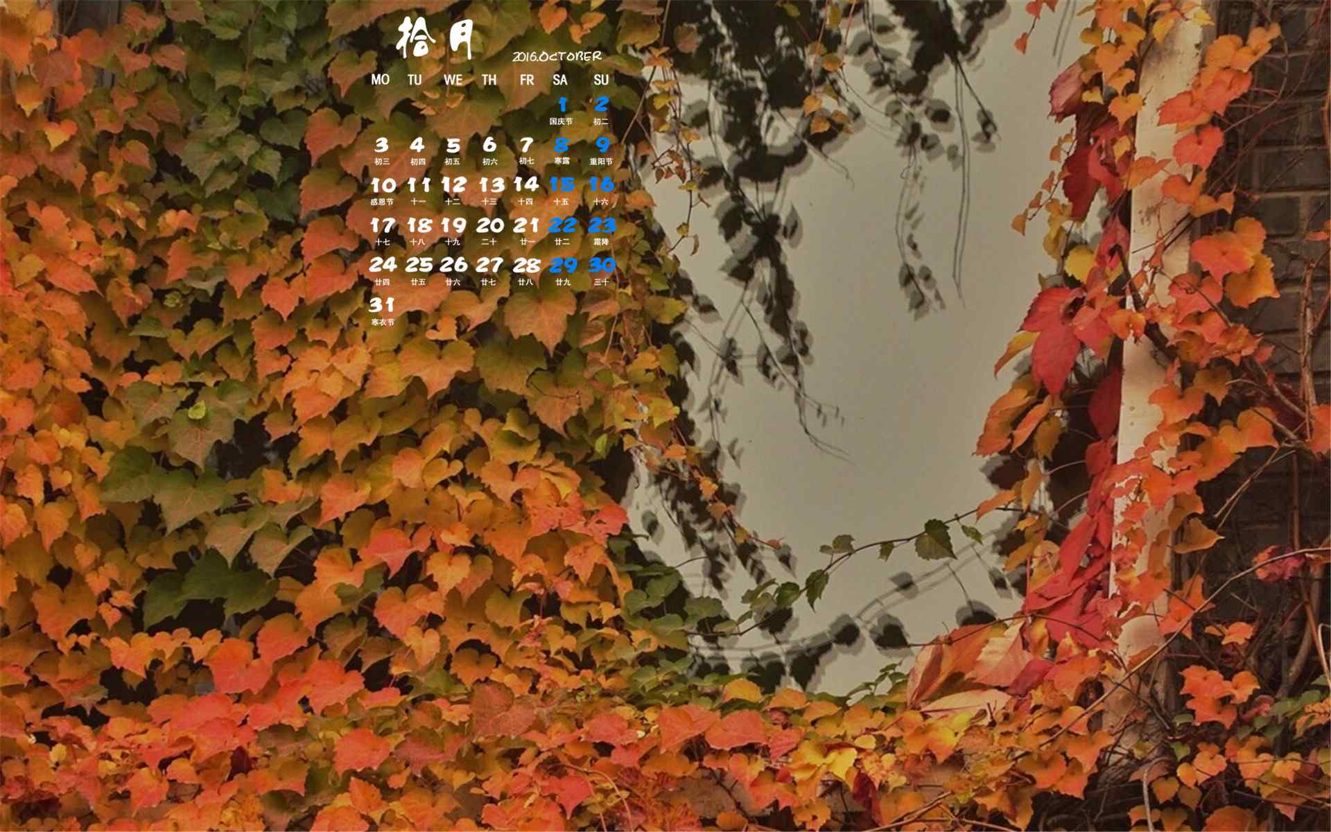 2016年10月日历墙上的秋叶摄影精选壁纸图片下载