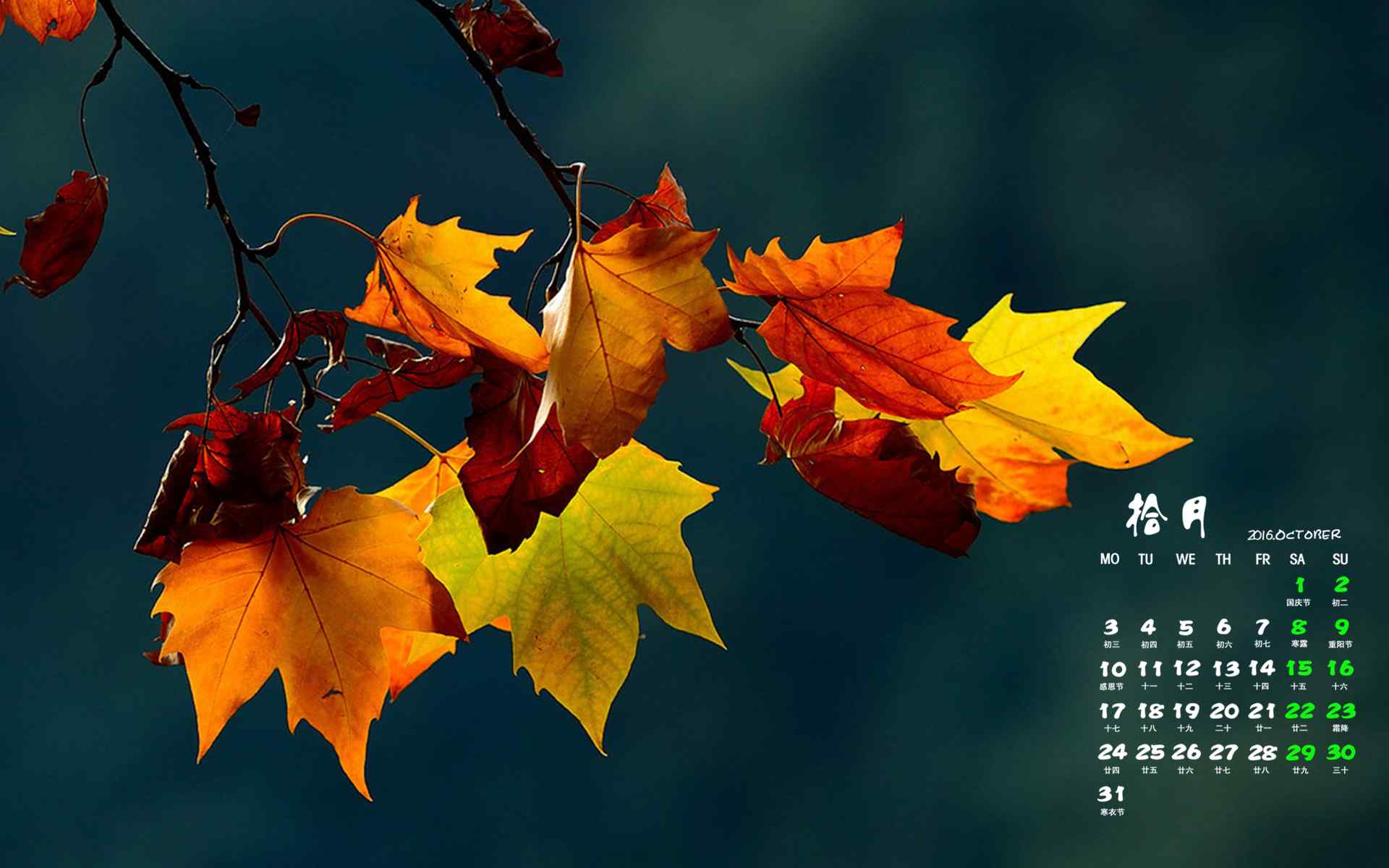 2016年10月日历秋天唯美的梧桐树叶图片电脑壁纸