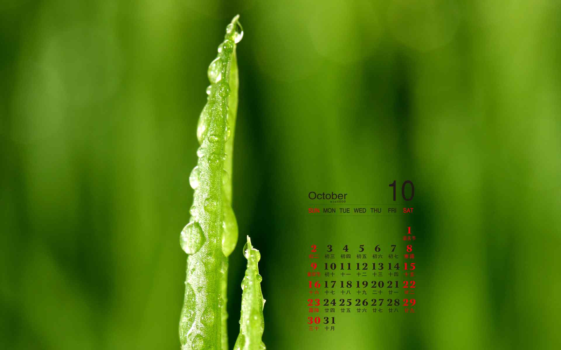 2016年10月日历小清新绿色护眼植物电脑壁纸