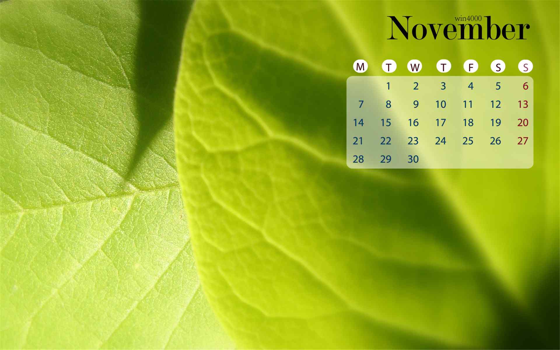 2016年11月日历简约清新绿叶护眼壁纸