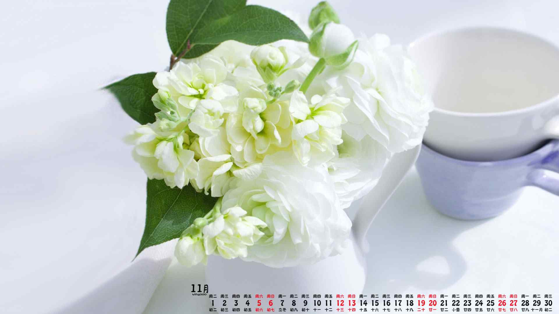 2016年11月日历清新的白色花卉植物壁纸电脑桌面