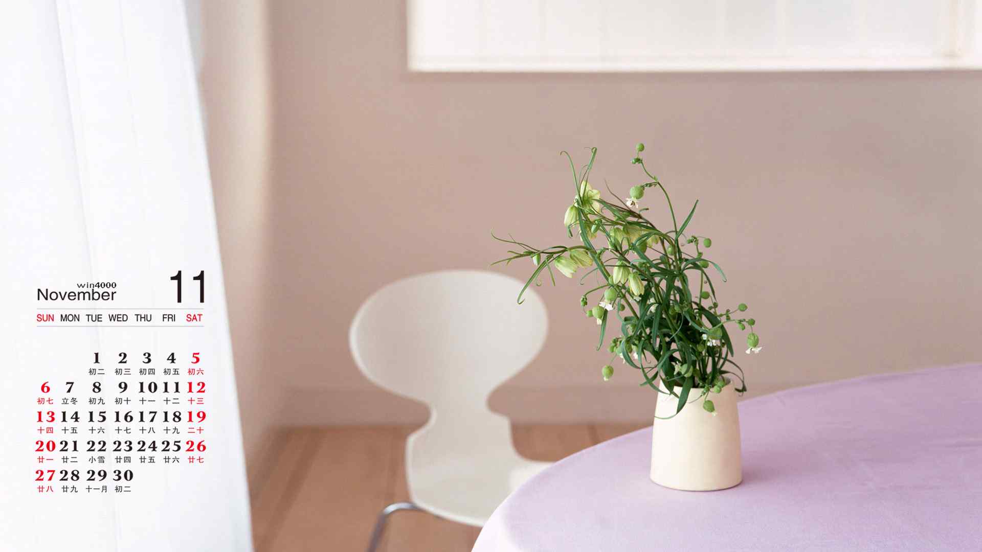 2016年11月日历好看的室内花卉植物摄影高清电脑桌面壁纸