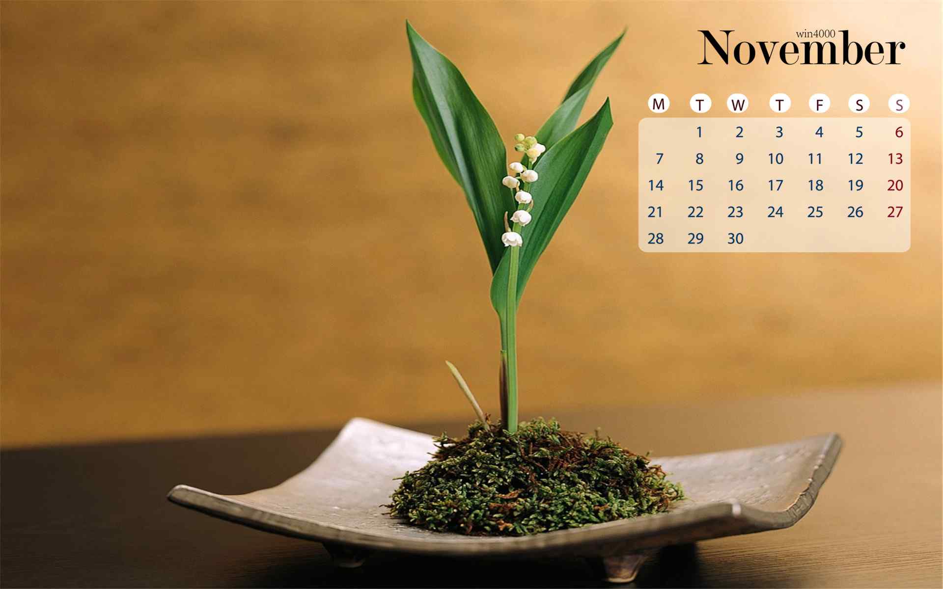 2016年11月日历绿色绿色植物盆栽l高清桌面壁纸