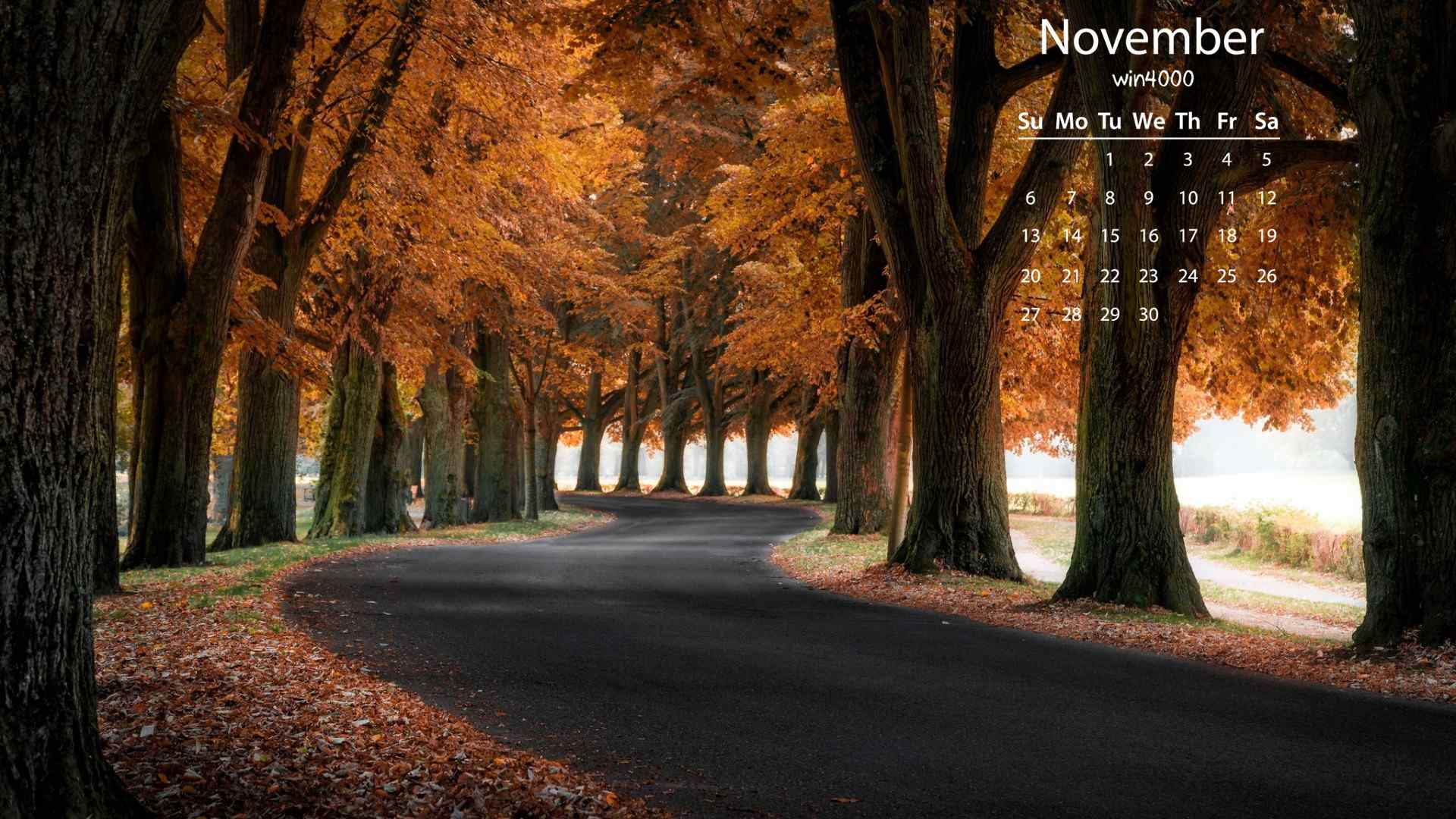 2016年11月日历秋天的红色枫叶高清风景图片壁纸下载