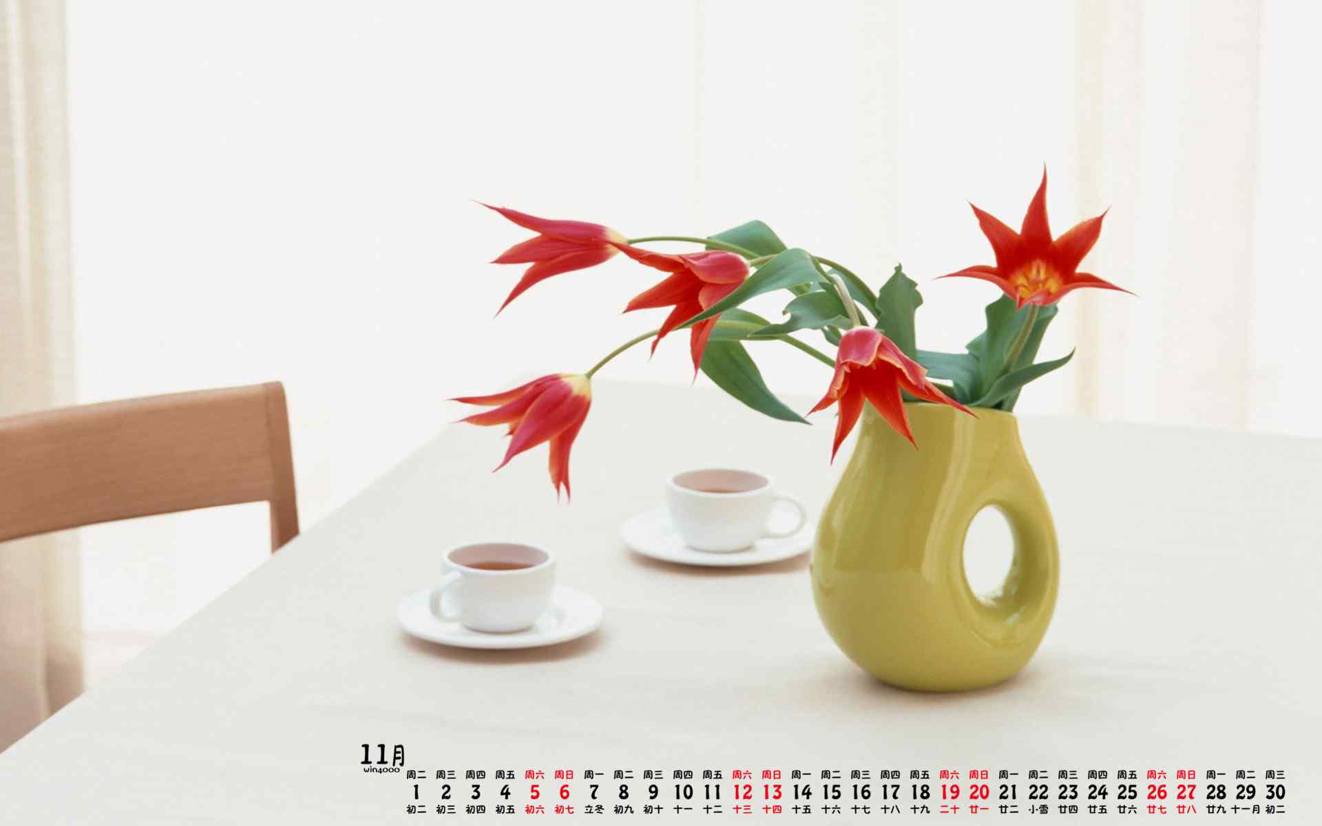 2016年11月日历好看的花卉植物图片高清壁纸下载