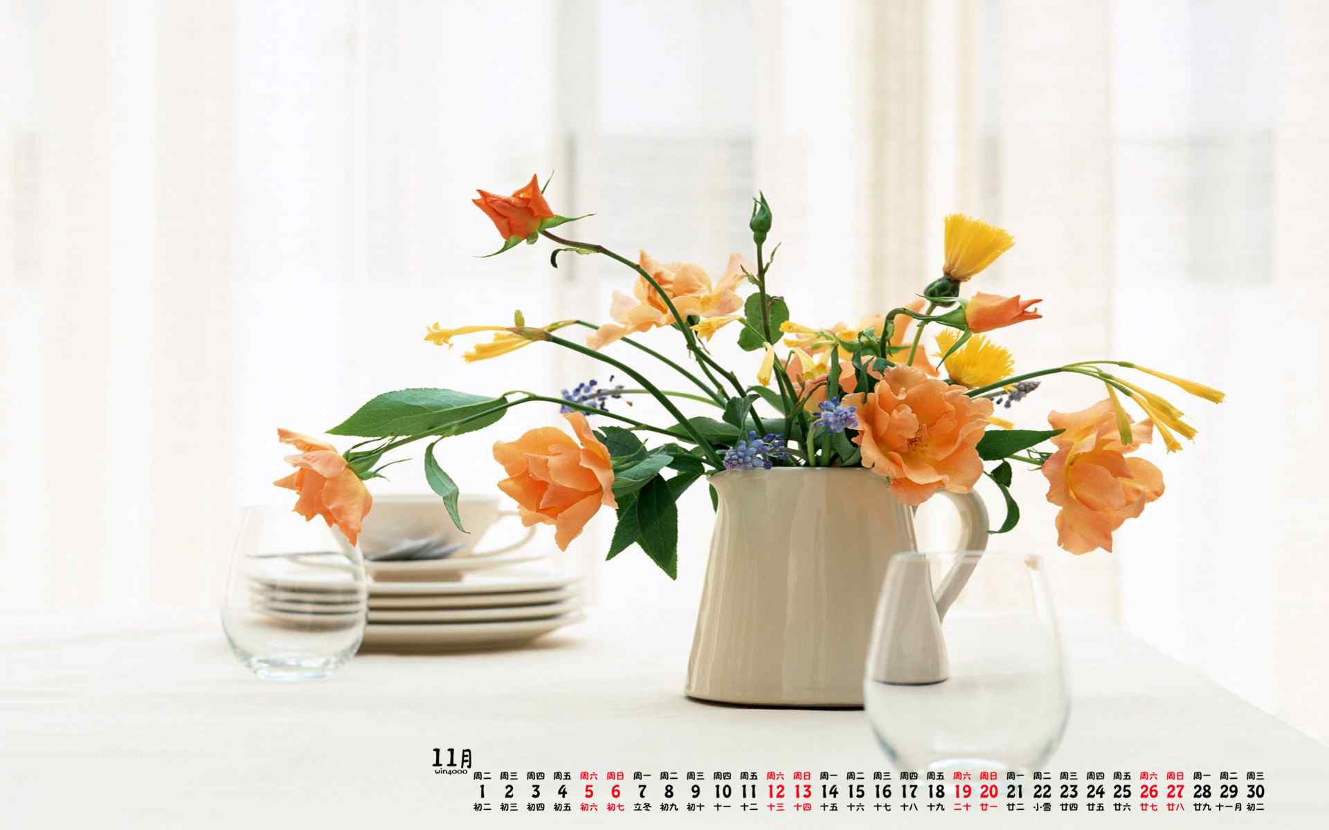 2016年11月日历好看的花卉植物图片高清壁纸下载