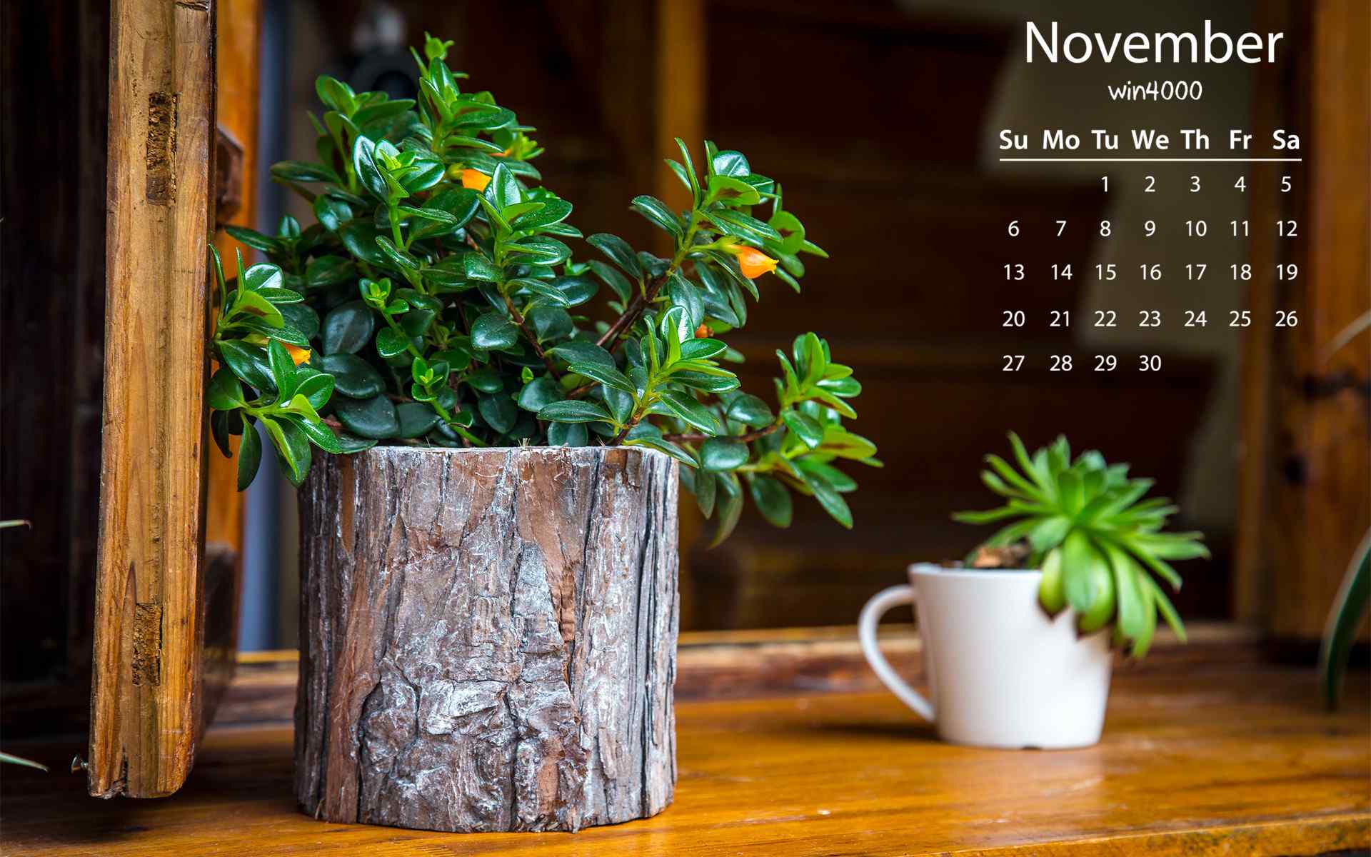 2016年11月日历小清新绿色植物图片护眼壁纸