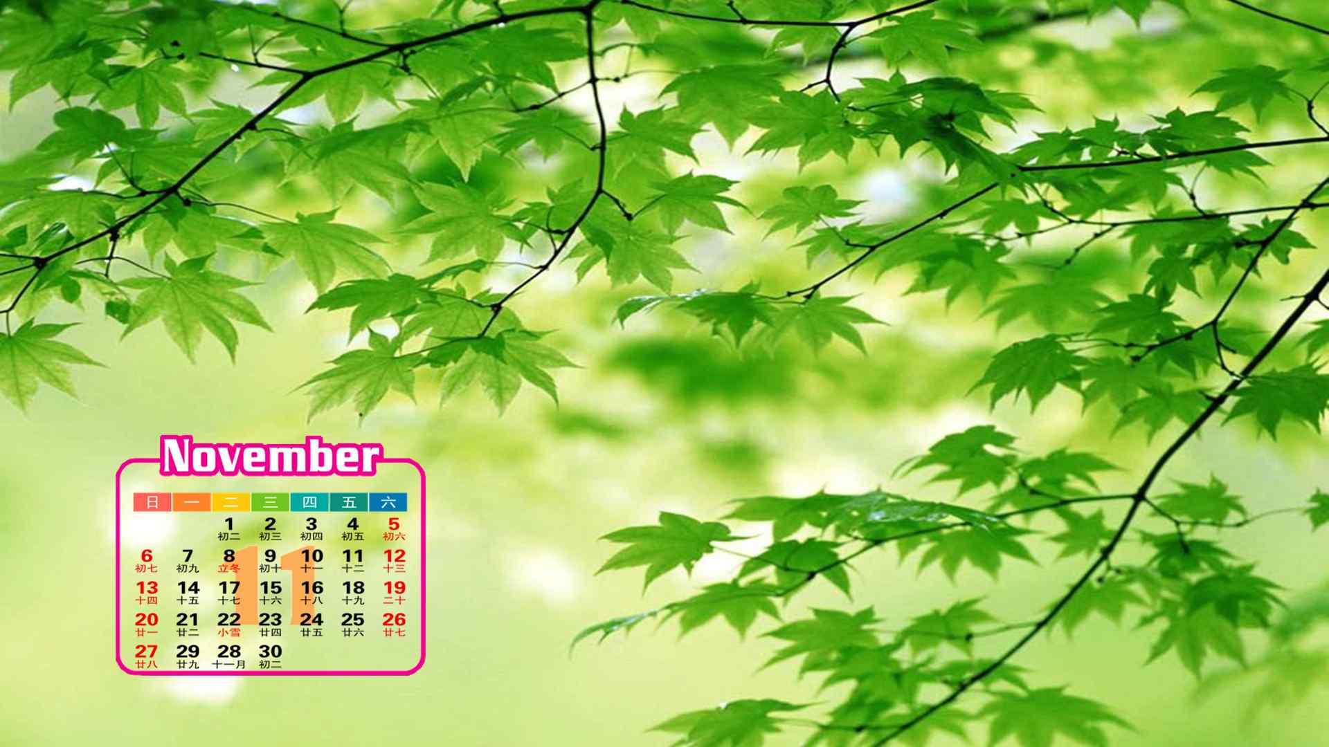 2016年11月日历清新绿色树叶自然风景桌面壁纸
