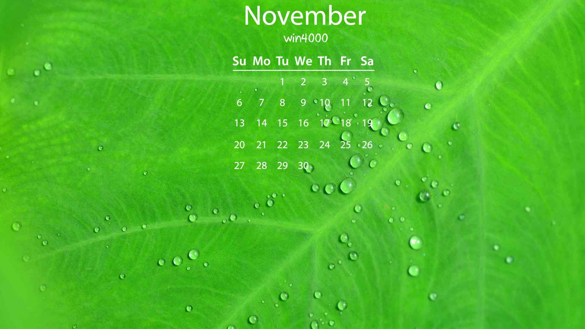 2016年11月日历清新绿叶露珠图片高清壁纸