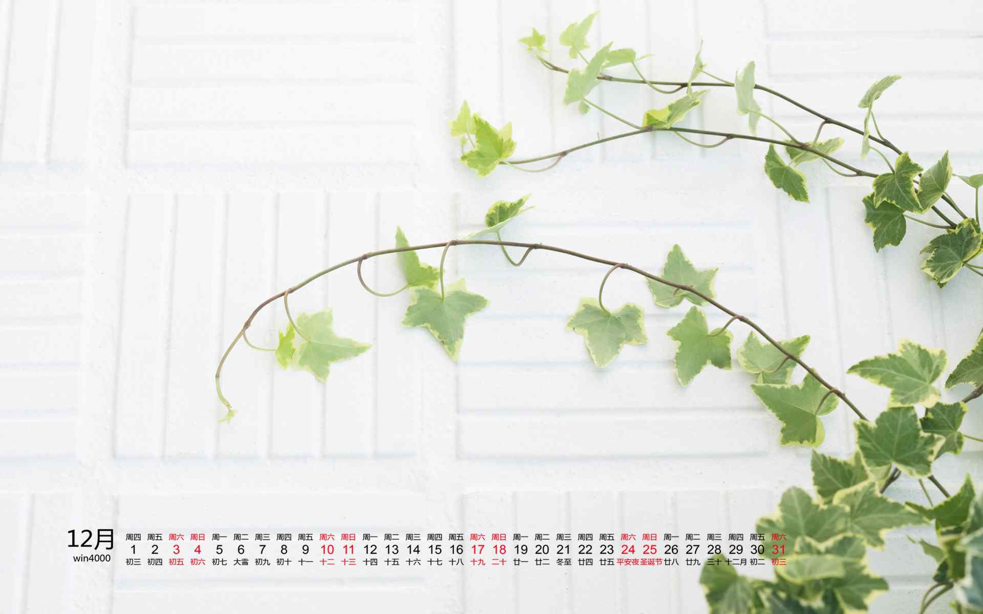 2016年12月日历小清新室内绿色盆栽图片桌面壁纸