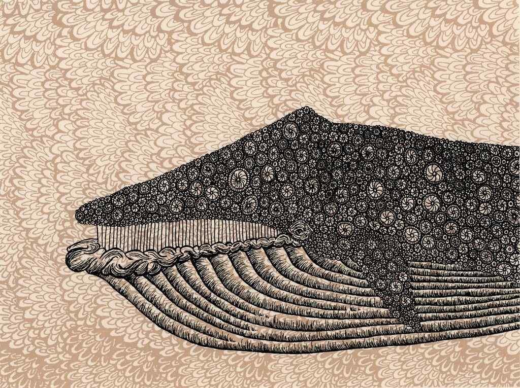 创意设计鲸鱼图片壁纸