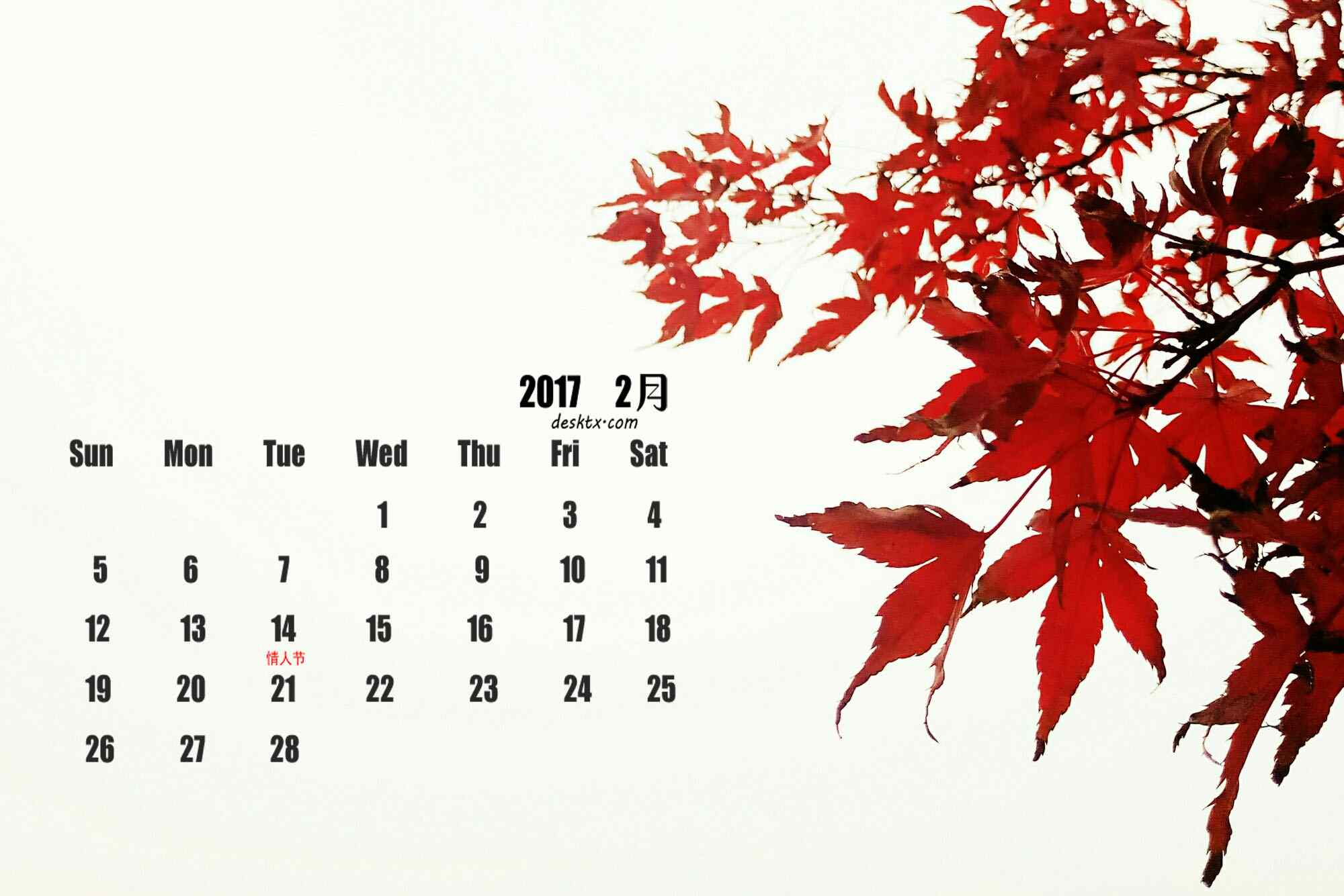 2017年2月日历壁纸之红色的枫叶