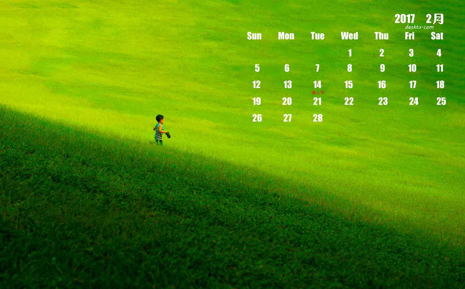 2017年2月日历壁纸之草坪上奔跑的小男孩