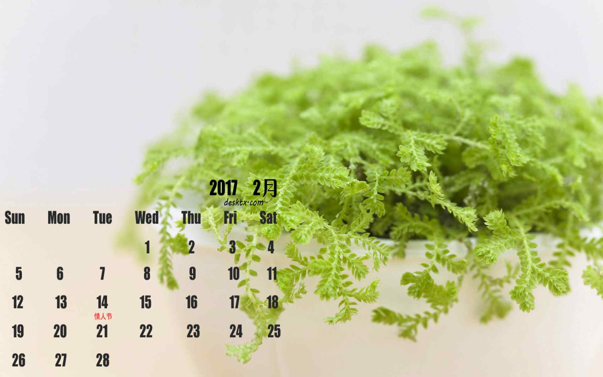 2017年2月日历小清新盆栽植物图片壁纸