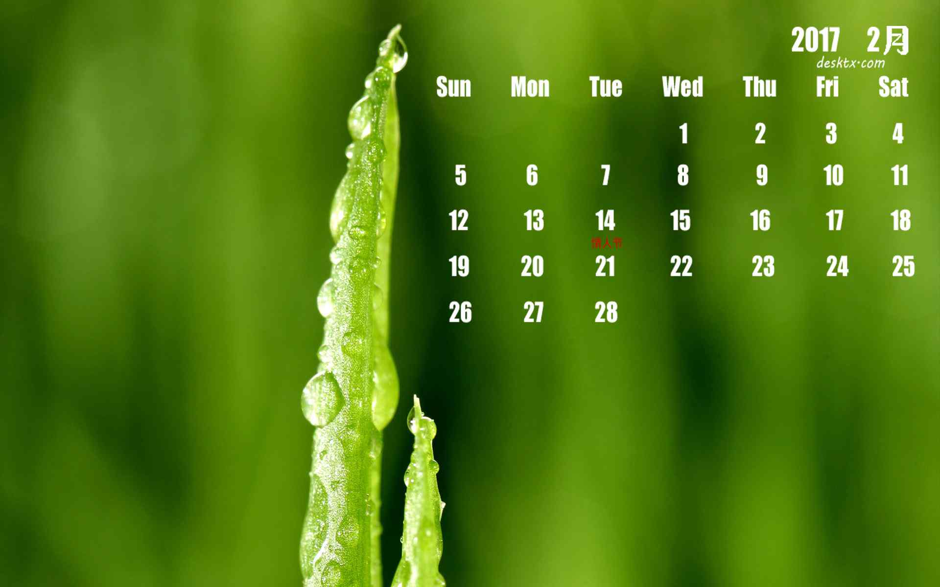 2017年2月日历清新绿色植物壁纸