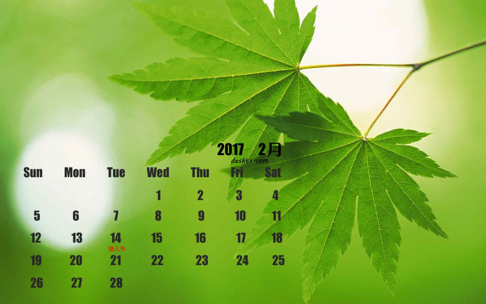 2017年2月日历唯美绿色植物图片壁纸