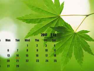 2017年2月日历唯美绿色植物图片壁纸