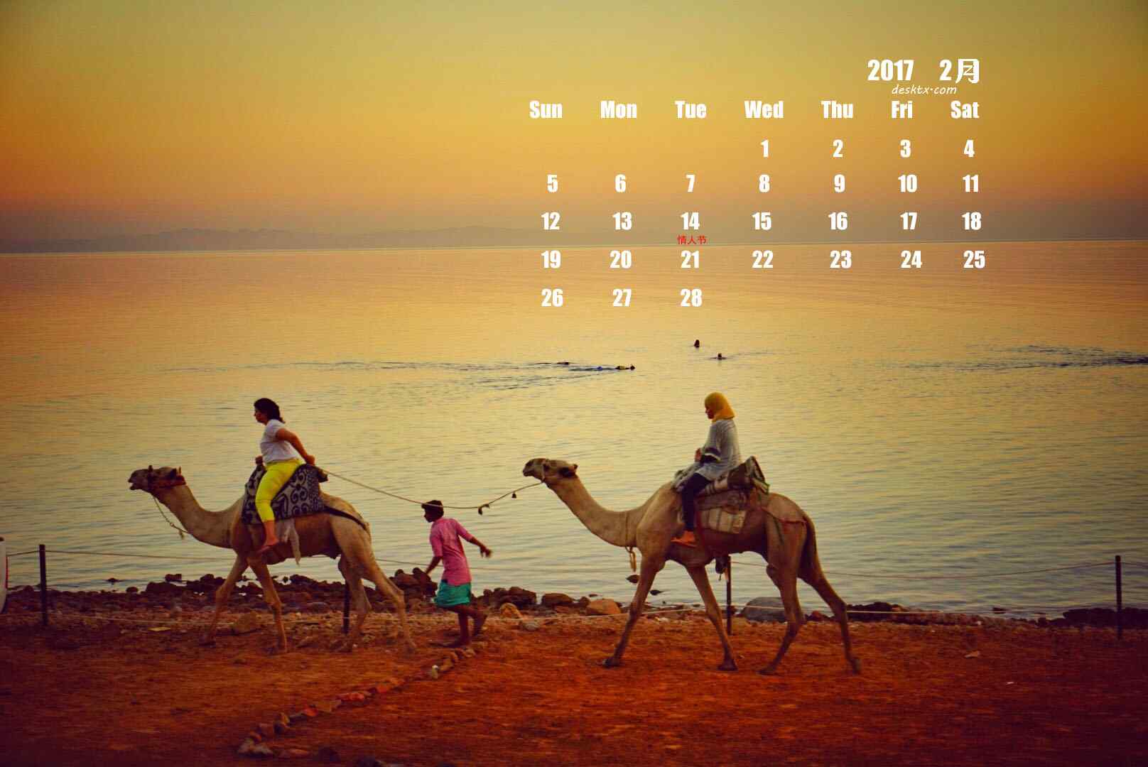 2017年2月日历壁纸之骑骆驼的人