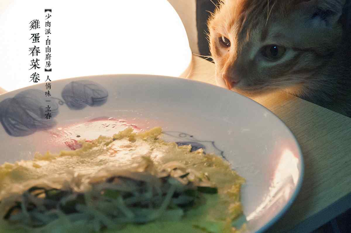 立春节气壁纸之特色美食与小猫咪图片