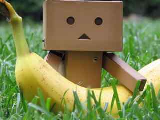 香蕉与纸箱玩偶图