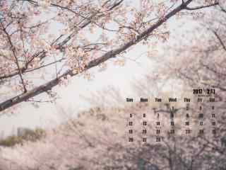 2017年2月日历壁纸之唯美的粉色樱花