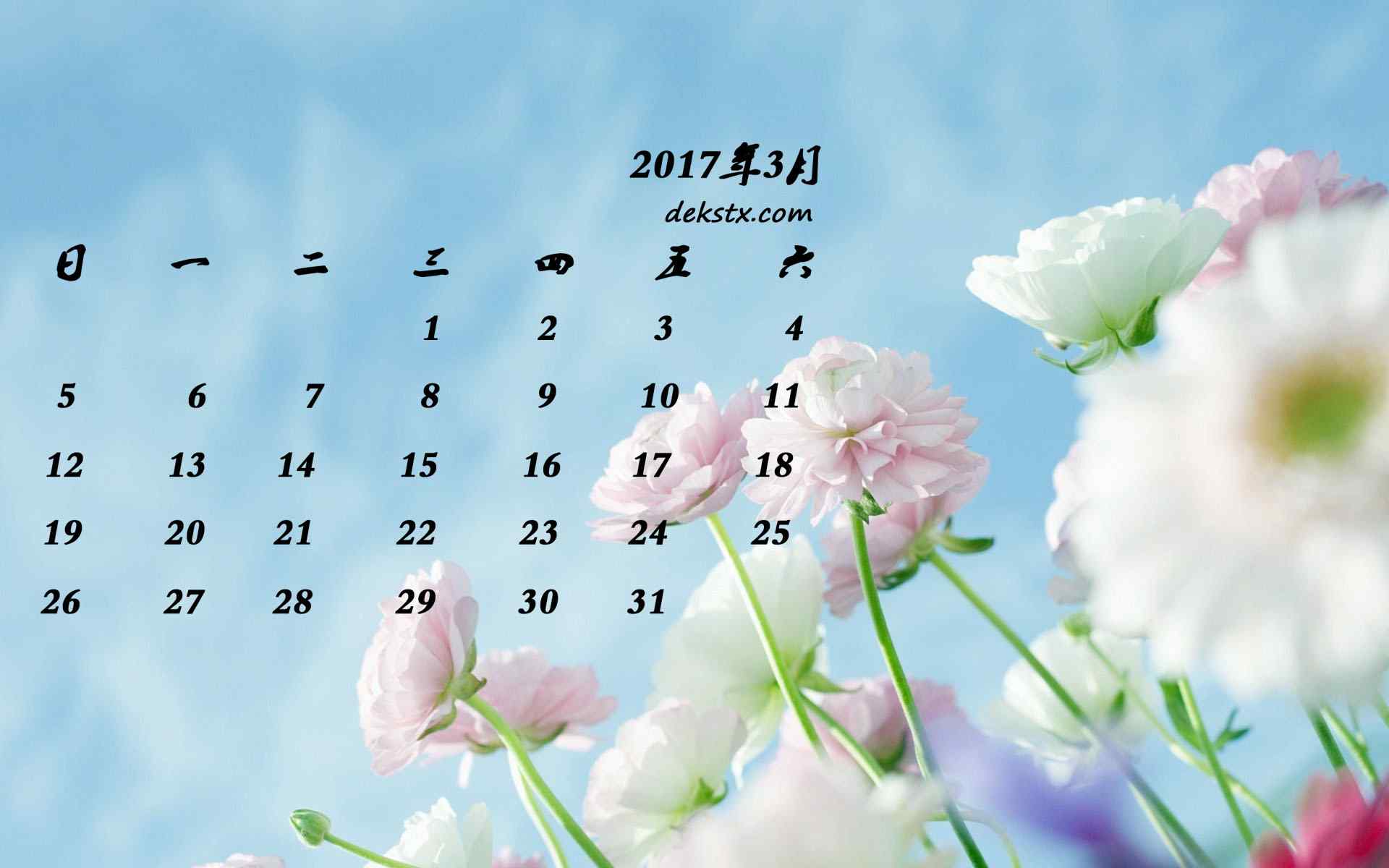 2017年3月日历好看的植物壁纸