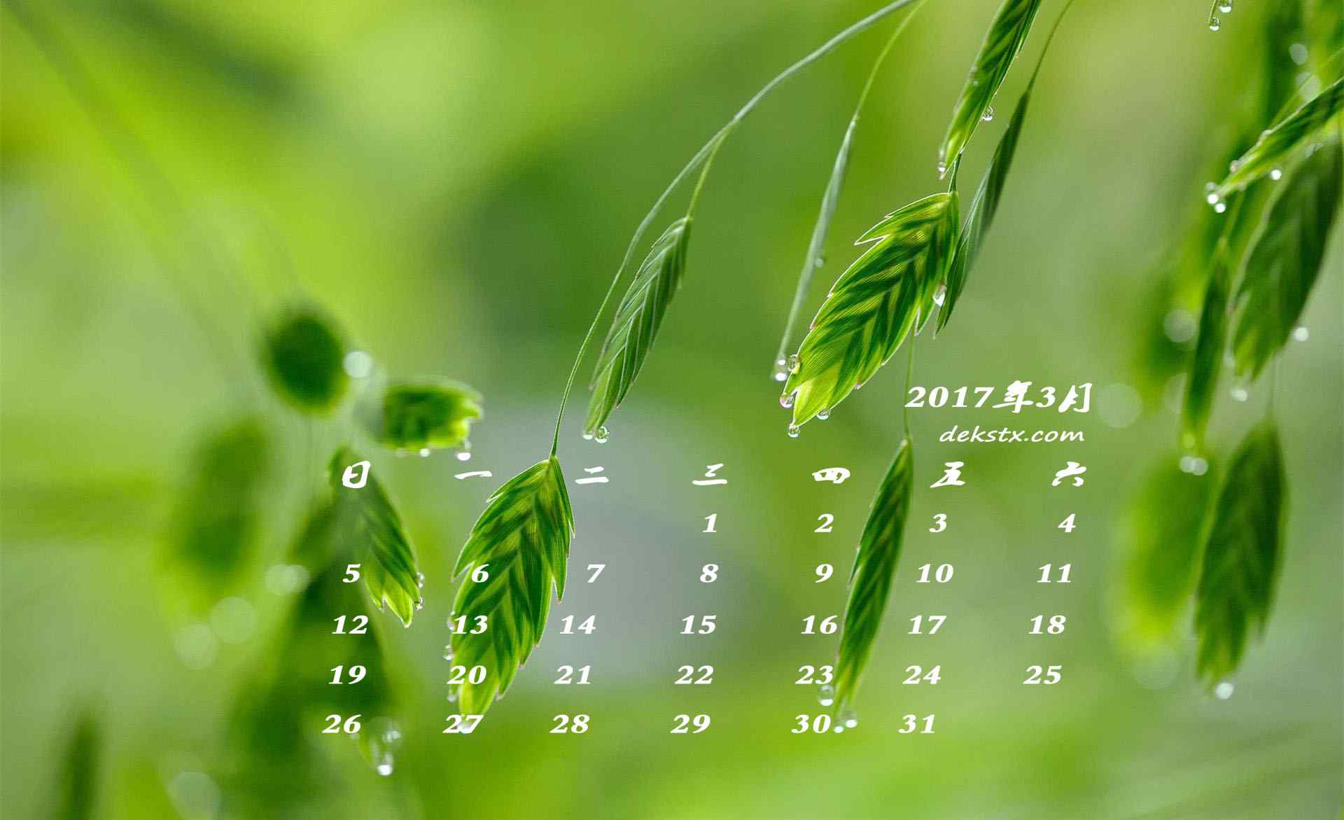 2017年3月日历小清新植物壁纸