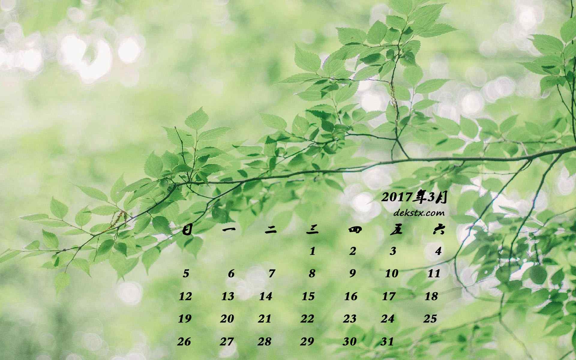 2017年3月日历绿色植物图片壁纸
