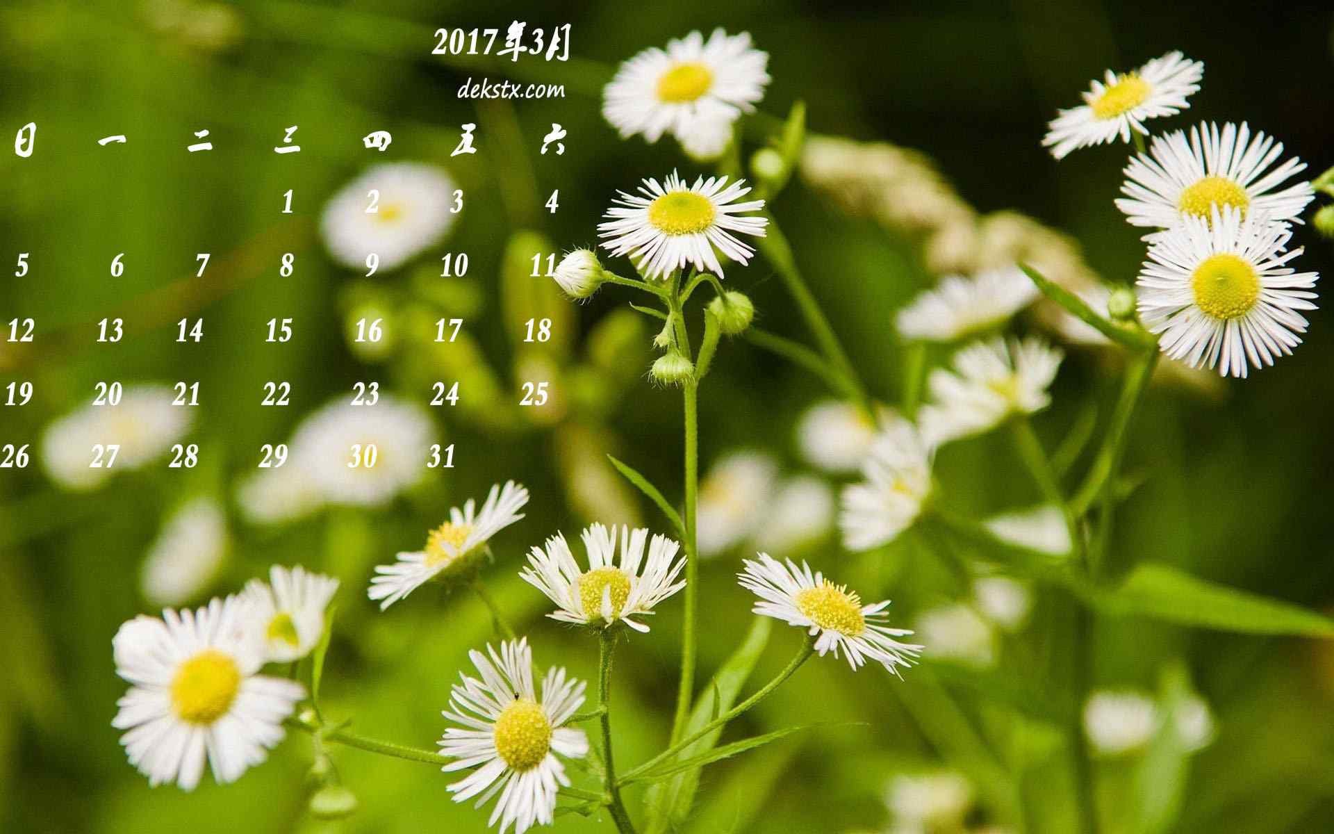 2017年3月日历小清新花朵图片壁纸