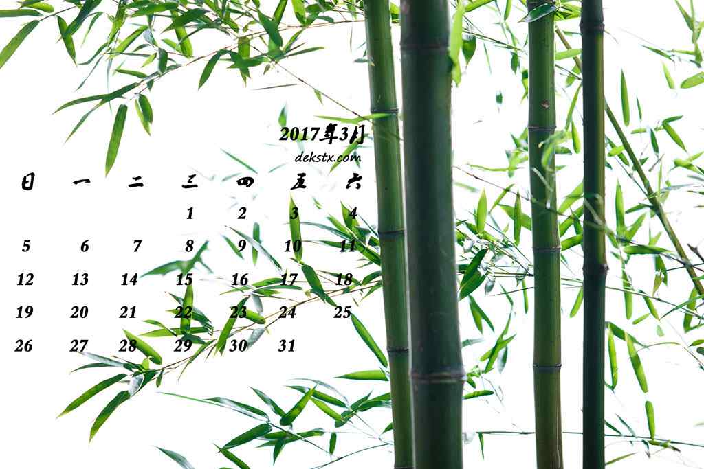2017年3月日历小清新竹子壁纸