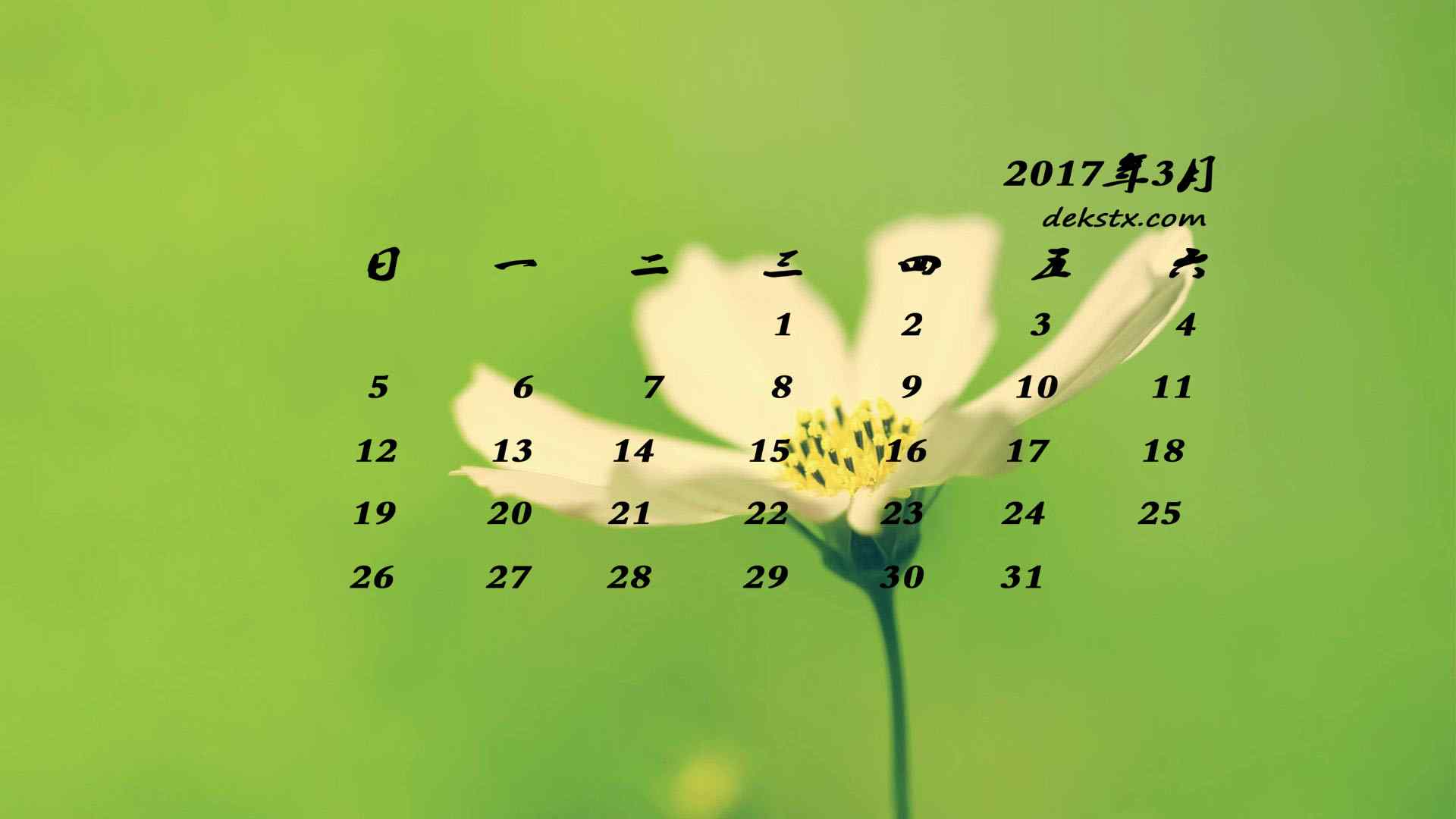 2017年3月日历可爱的小花壁纸