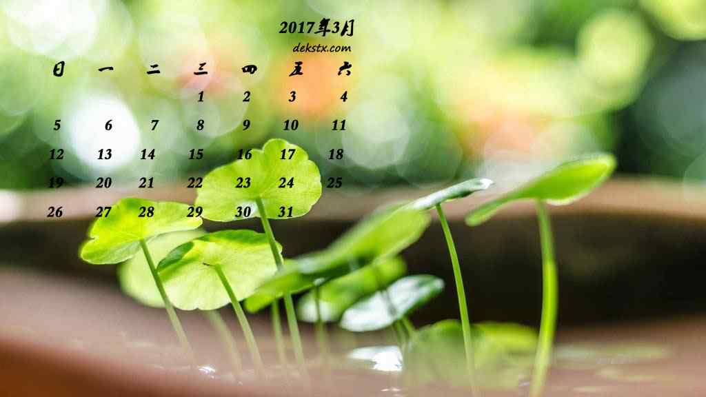 2017年3月日历可爱小植物图片壁纸