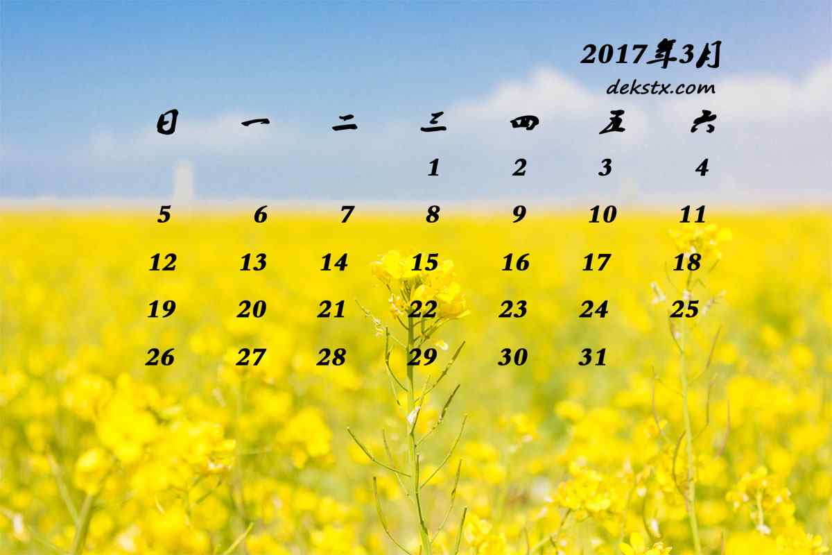 2017年3月日历唯美青海湖油菜花壁纸