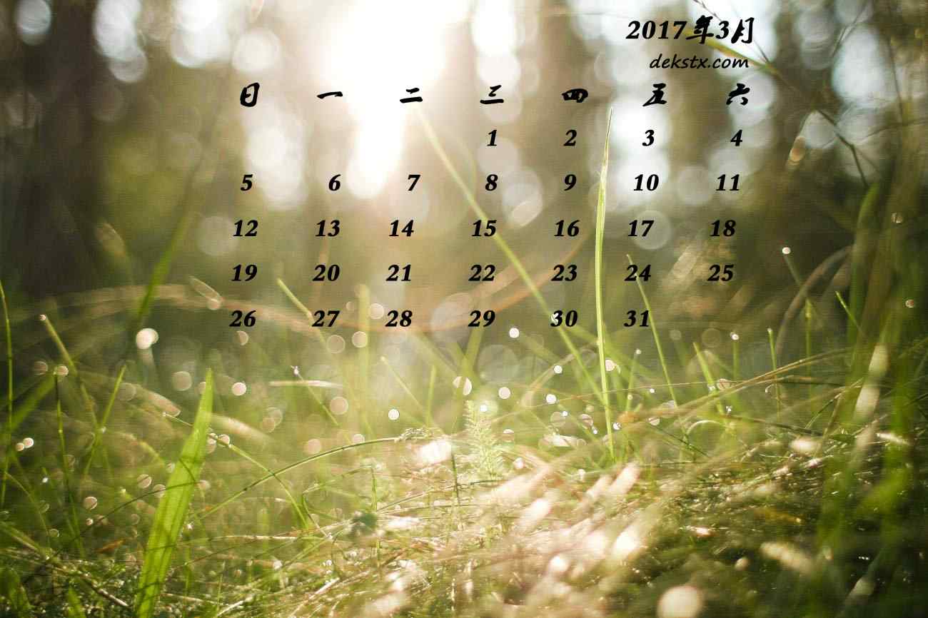 2017年3月日历唯美草地风景桌面壁纸